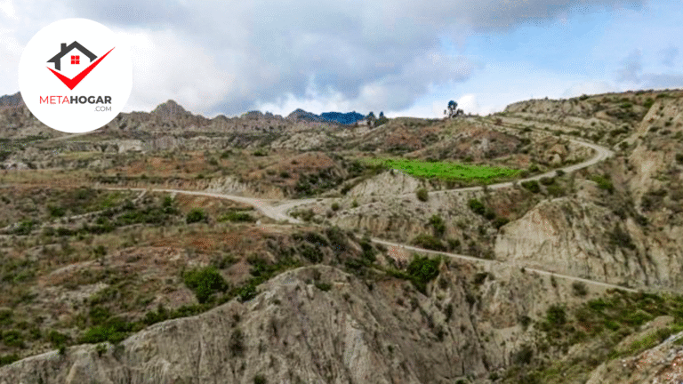 Versión 2 – Estilo Familias y Proyectos